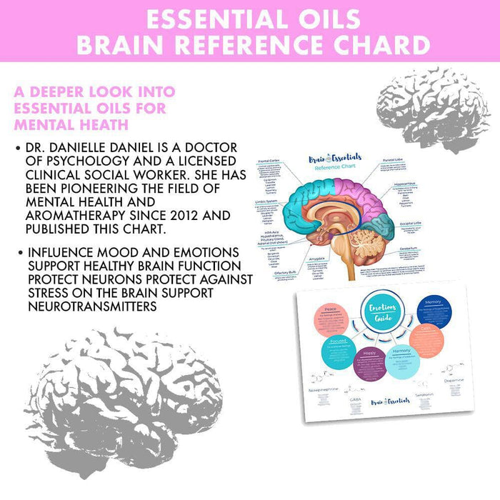 Brain Health Bundle at Your Oil Tools