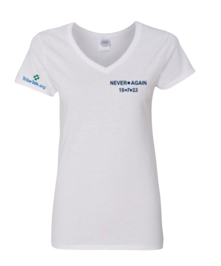 Never Again V-Neck Tee