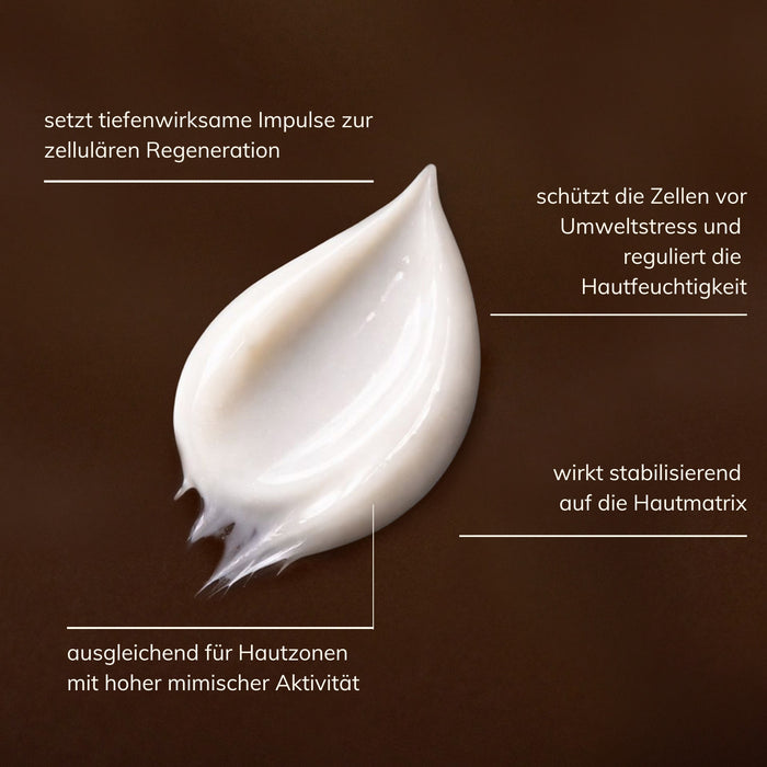 Schaubild zur Wirkweise und Textur des Santaverde XINGU renewing serum