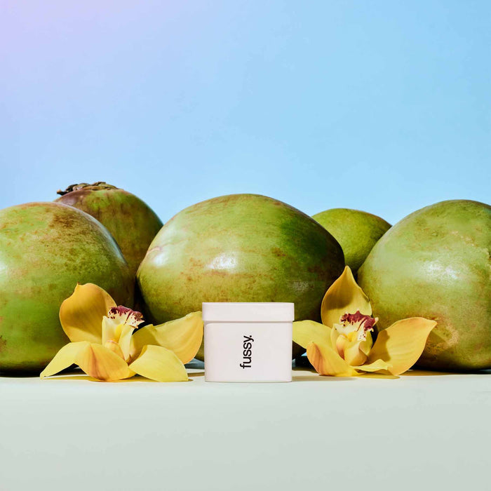 AFTER SUN Solar Floral