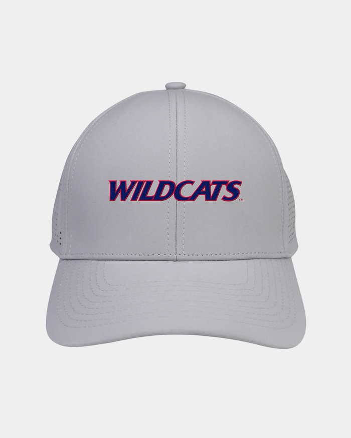 University of Arizona Birdie 2.0 Light Grey 3