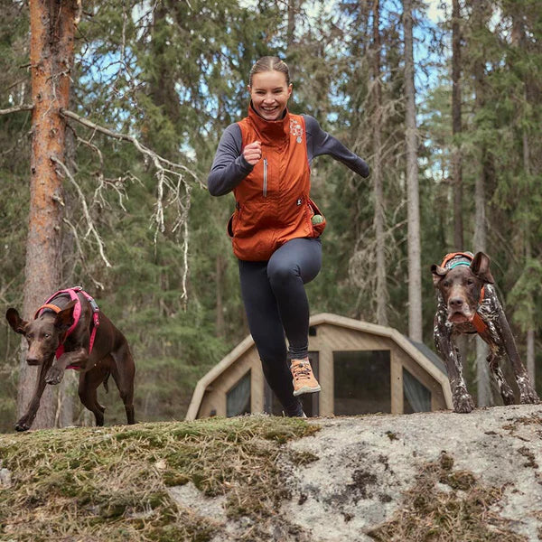 dog-training-vest-jacket-blackberry
